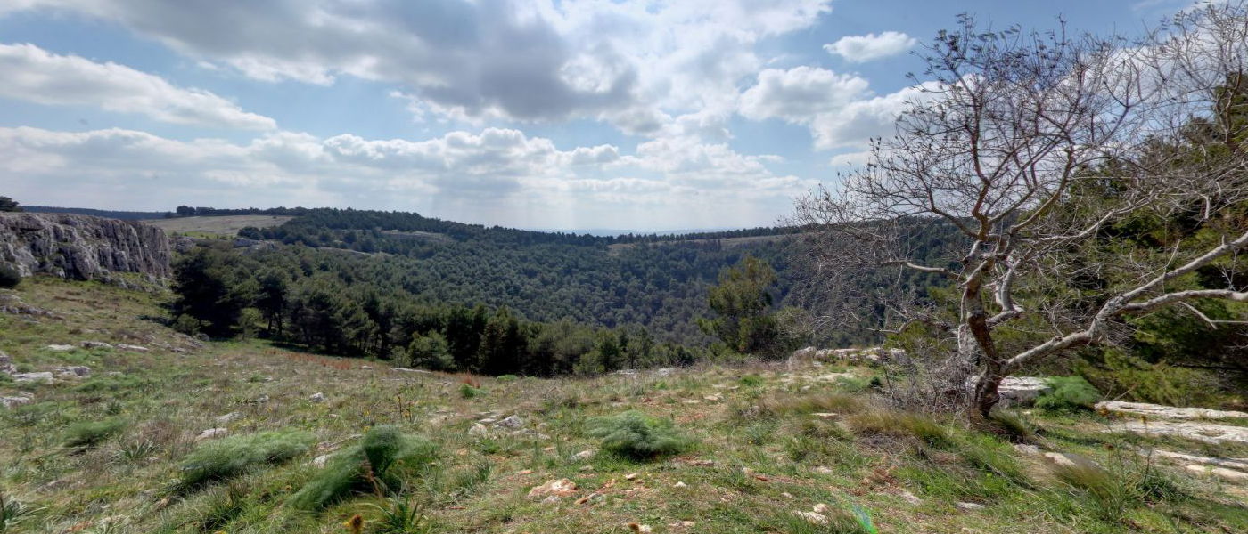 Parco nazionale dell'Alta Murgia