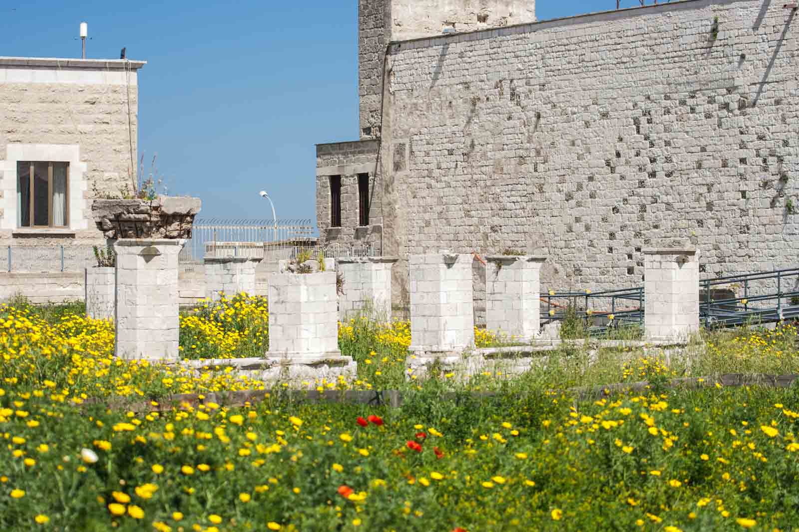 Area Archeologica San Pietro - Ex Ospedale Consorziale