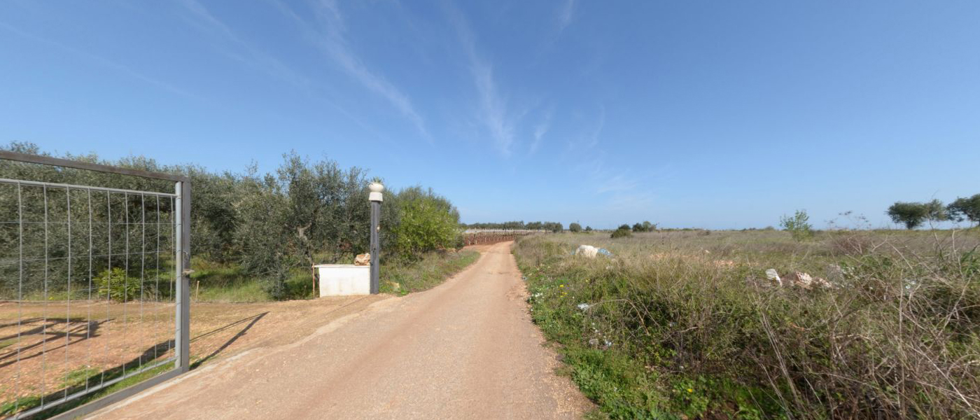 Menhir di Cellamare
