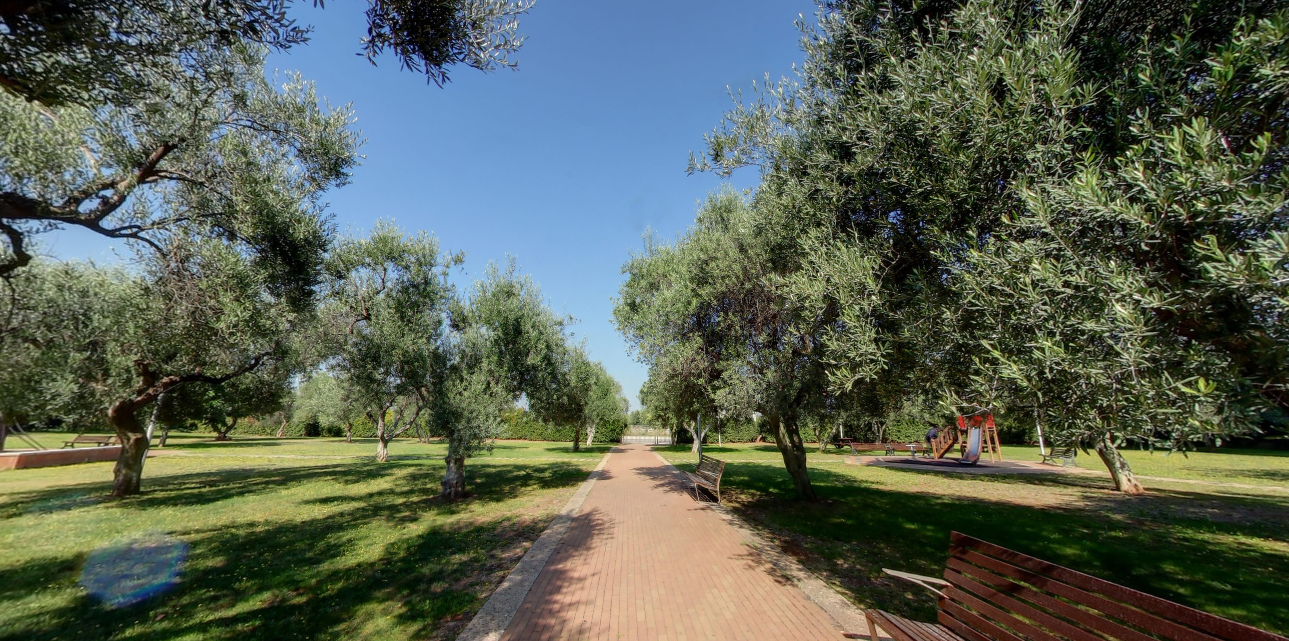 Chiesa di San Salvatore (Loseto)