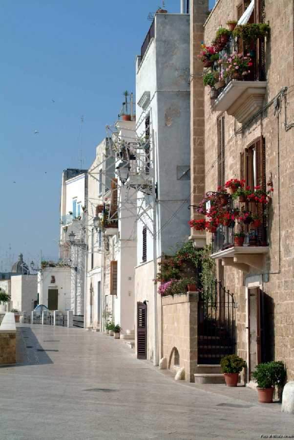 Via Venezia - Muraglia