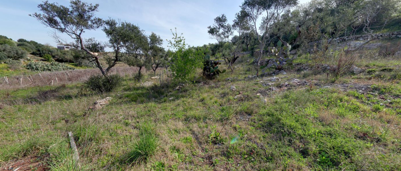 Parco naturale regionale Lama Balice