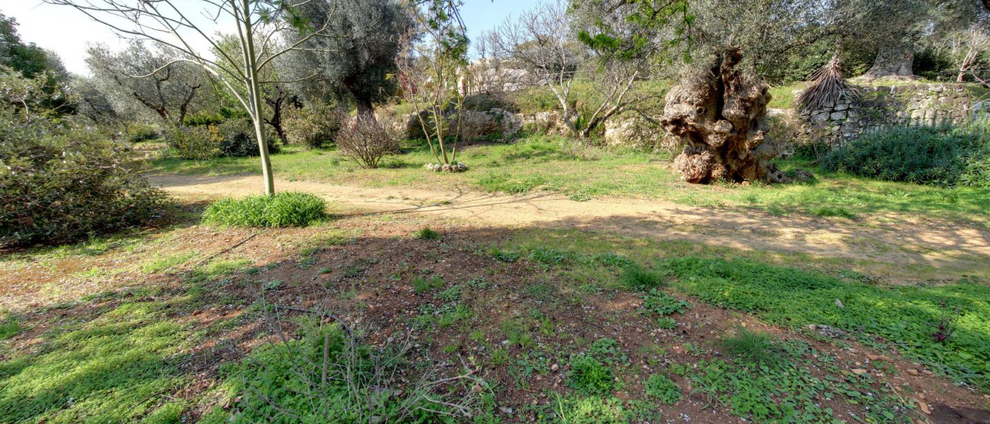 Giardino botanico Lama degli Ulivi